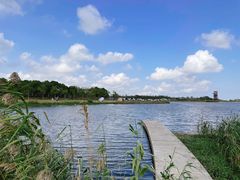 -春花秋色城市公园