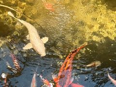 -聚缘堂·海鲜私房菜(松岭路店)