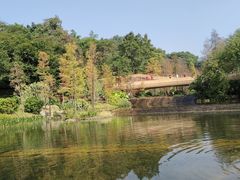 -云溪植物园