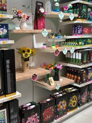 -乐高授权专卖店(岭南站NOVA店)
