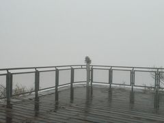 -紫金山山顶公园
