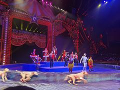 -珠海横琴长隆《卡卡虎奇遇记》