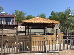 -北京鹿世界主题园