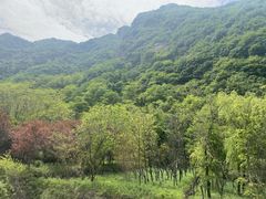 -秦岭终南山世界地质公园翠华山景区