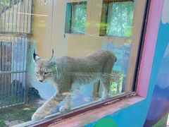 -青藏高原野生动物园