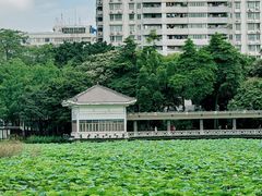 -荔湾湖公园