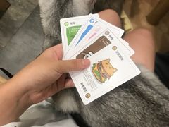 -楼上猫咖(罗湖店)