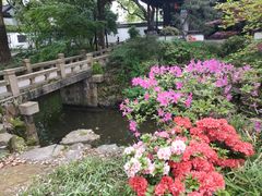 -上海醉白池公园