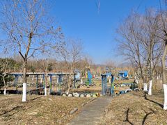 -中国扬子鳄村