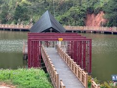 -神光山国家森林公园