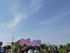-荷兰花海