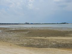 -北海金海湾红树林生态旅游区