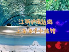 -上海海洋水族馆