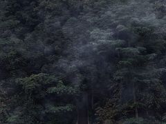 -福清灵石山国家森林公园