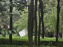 -木塔寺遗址生态公园