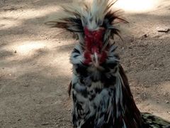 -石家庄市动物园