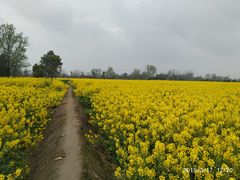 -中国天府农业博览园