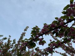 -苏州河梦清园环保主题公园