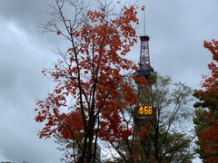 -札幌电视塔