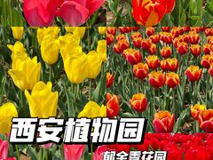 -陕西省西安植物园