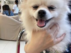 -怪兽屋·羊驼·猫咖·狗咖(俊华广场店)