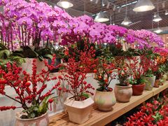 -双季花艺园艺市场(浦东店)