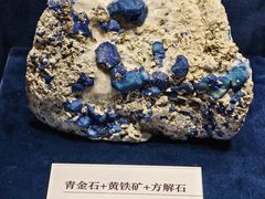 -国家自然博物馆