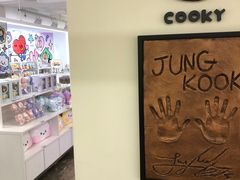 -line friends(明洞旗舰店)