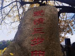 -千年银杏谷文化旅游区