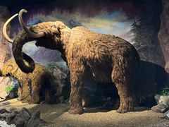 -抚顺煤矿博物馆