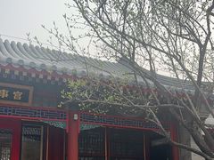 -宫事颐庭·老佛爷贵寿下午茶(颐和园店)