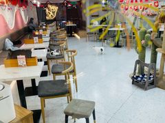 -喵园·猫主题咖啡厅·撸猫·猫咖(国贸店)