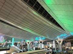 -TIAT DUTY FREE SHOP NORTH(羽田机场店)