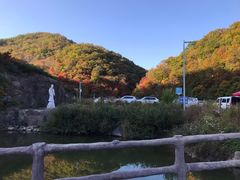 -天女山森林公园