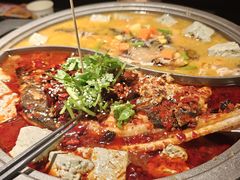 -师烤·豆花烤鱼(广州荔湾扬韬广场店)