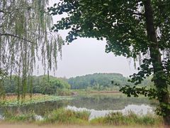 -白鹭湾湿地公园