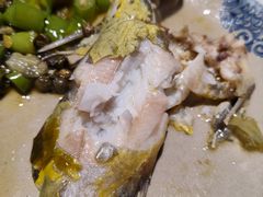 -石锅苗苗鱼(武汉首店)