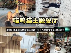 -咖法森林·咖啡  酒吧(天河店)