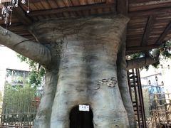 -杭州开元森泊度假乐园