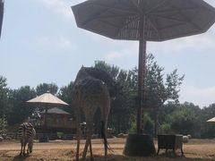 -大连森林动物园