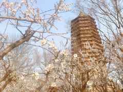 -玲珑塔公园