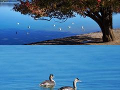 -丽江泸沽湖景区