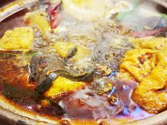 -沙胆彪炭炉牛杂煲(成都玉林店)