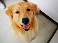 -宠福鑫康馨动物医院·骨科·眼科