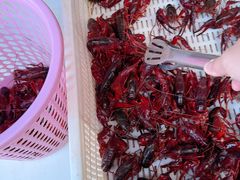 -电台龙虾烧烤排档(尚达新天地购物广场店)