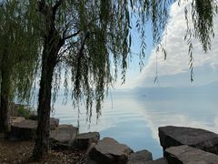 -东钱湖小普陀景区