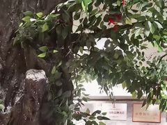 -老爷庙风味美食府(魏都大道店)