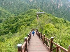 -大岭沟猕猴桃谷风景区