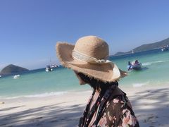 -珊瑚岛