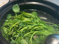 -同仁四季椰子鸡(无锡滨湖万象汇店)